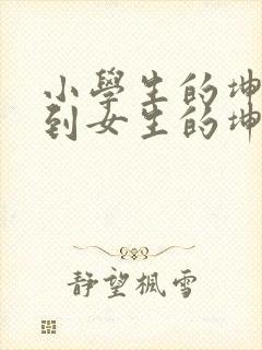 小学生的坤坤放到女生的坤里