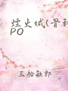 烟火城(骨科)PO