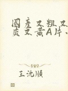 国产又粗又猛又爽又黄A片小说