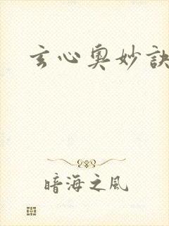 玄心奥妙诀全集