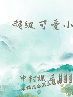 超级可爱小说
