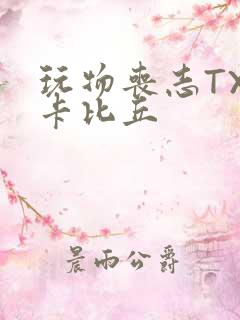 玩物丧志TXT卡比丘