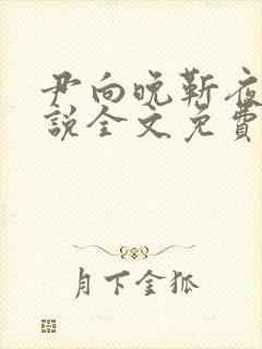 尹向晚靳夜擎小说全文免费阅读无弹窗