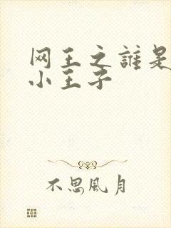 网王之谁是我的小王子