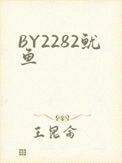 BY2282鱿鱼