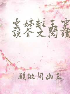 云婷离王穿越小说全文阅读