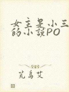 女主是小三很婊的小说PO