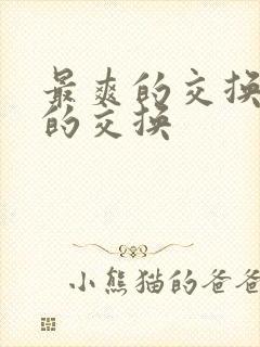 最爽的交换疯狂的交换