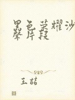 黑色荣耀沙发原声片段