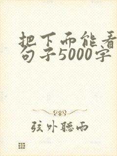把下面能看湿的句子5000字