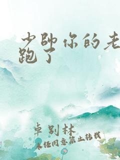 少帅你的老婆又跑了