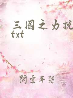 三国之力挽狂澜txt