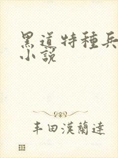 黑道特种兵有声小说