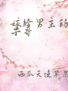 嫁给男主的病秧子哥