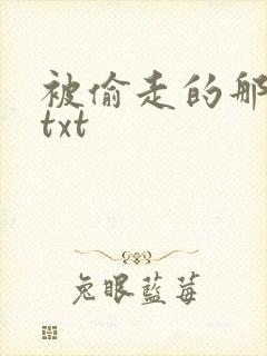 被偷走的那五年txt