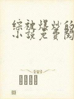 综被爆炒的日常小说免费阅读