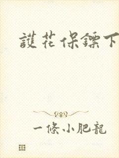 护花保镖下载