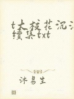 t大校花沉浮录续集txt