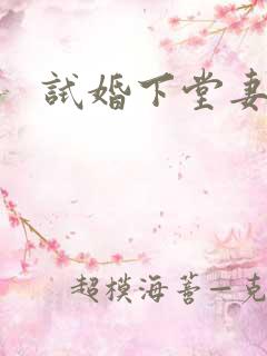 试婚下堂妻