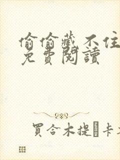 偷偷藏不住小说免费阅读