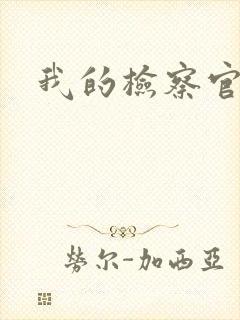 我的检察官先生