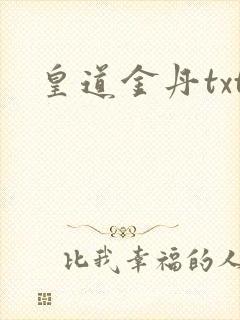 皇道金丹txt