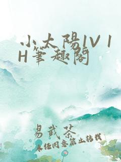 小太阳1V 1H笔趣阁