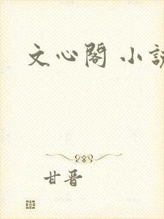 文心阁 小说
