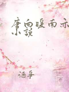 唐向暖南亦琛的小说