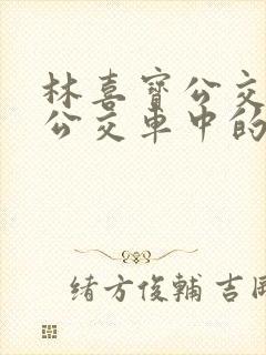 林喜宝公交车(公交车中的林喜宝)