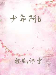 少年阿b