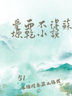 爱而不得苏路顾塬乾小说