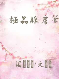 极品账房笔趣阁