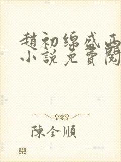 赵初绵盛西舫的小说免费阅读