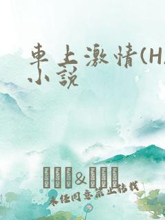 车上激情(H)小说