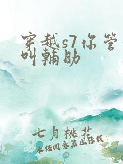 穿越s7你管这叫辅助