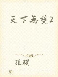 天下无双2