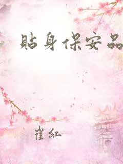 贴身保安品书网