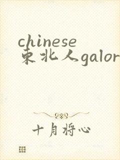 chinese东北人galore