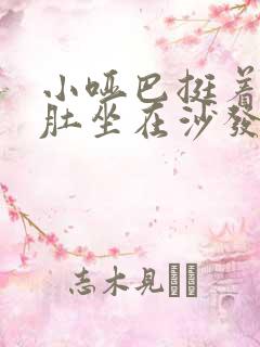 小哑巴挺着个孕肚坐在沙发