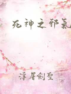 死神之邪气一护