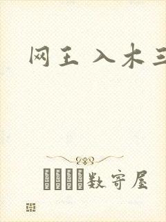网王 入木三分
