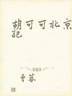胡可可北京成功记