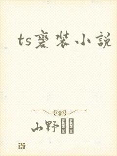 ts变装小说