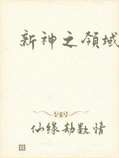 新神之领域