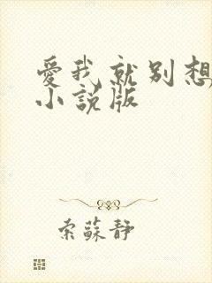 爱我就别想太多小说版