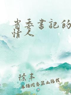 省委书记的秘密情人