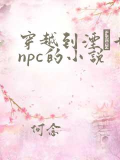 穿越到湮婸世界npc的小说