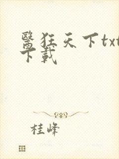 医狂天下txt下载