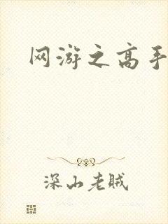 网游之高手寂寞